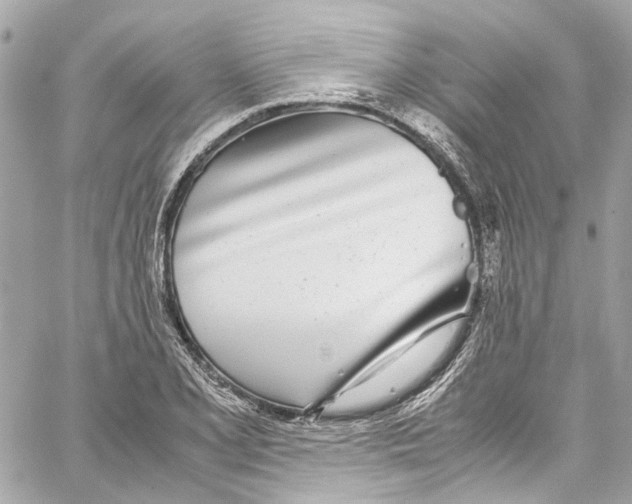 X0000059851077200511181532