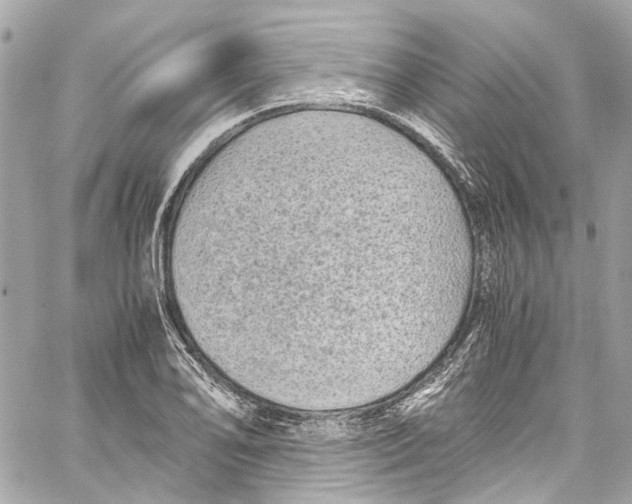 X0000059851078200511181532