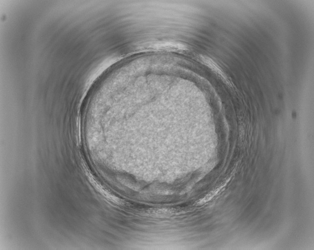 X0000059851079200511181532