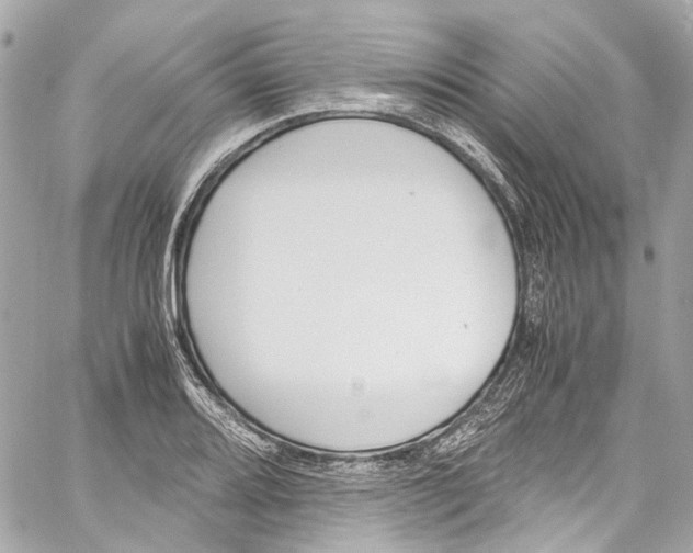 X0000059851080200511181532