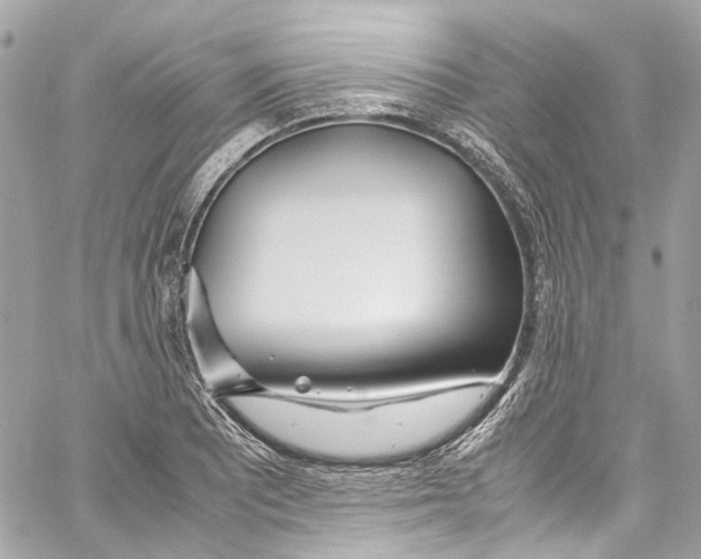 X0000059851081200511181532