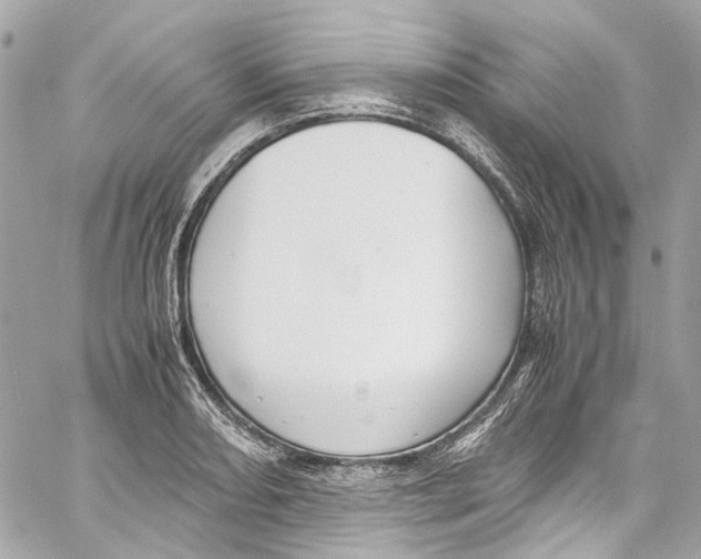 X0000059851082200511181532