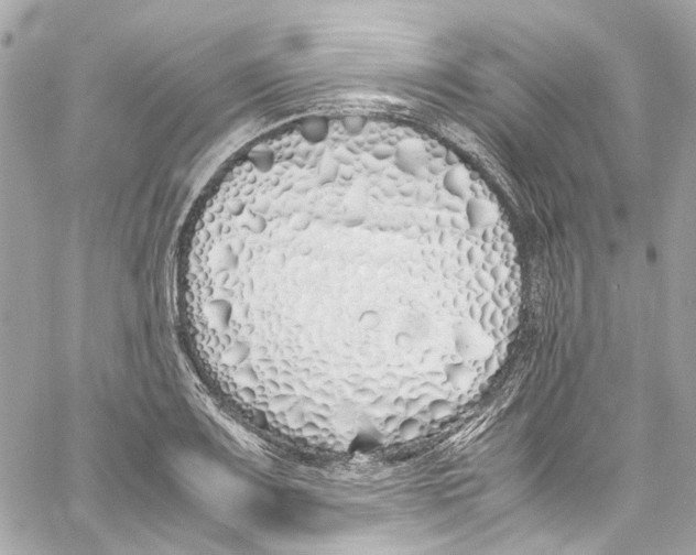 X0000059851083200511181532