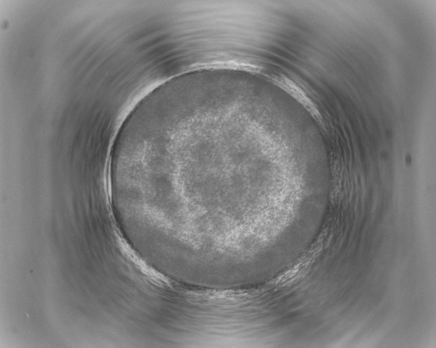 X0000059851084200511181532