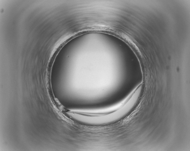 X0000059851085200511181532