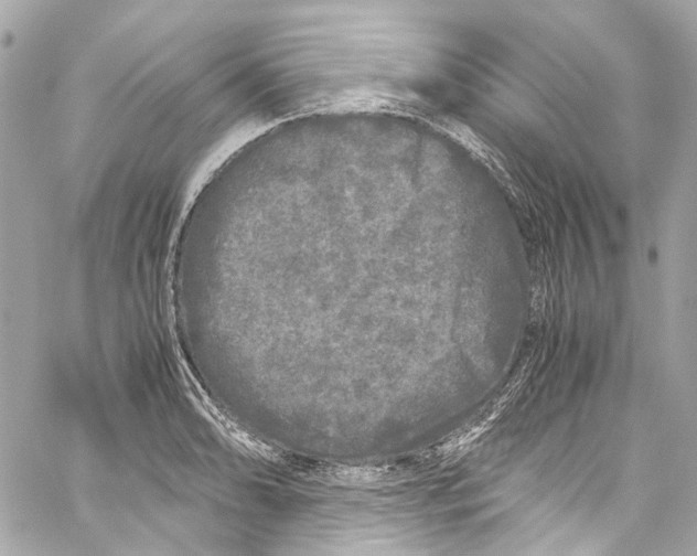 X0000059851086200511181532