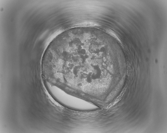 X0000059851087200511181532