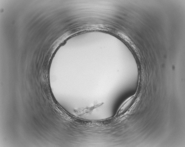 X0000059851089200511181532