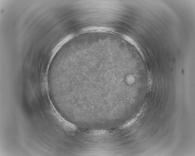 X0000059851090200511181532