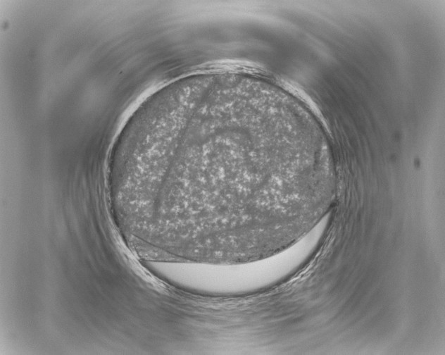 X0000059851091200511181532