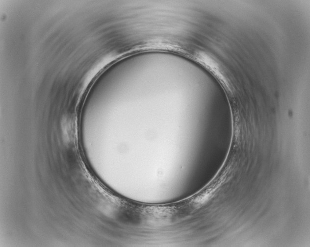 X0000059851092200511181532