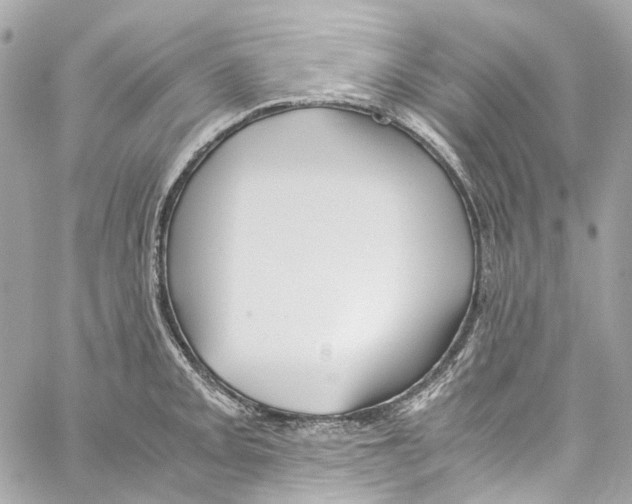 X0000059851093200511181532