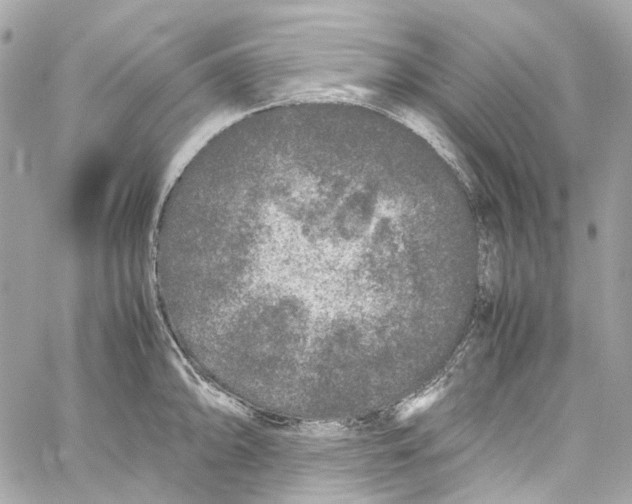 X0000059851094200511181532