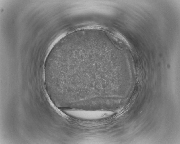 X0000059851095200511181532