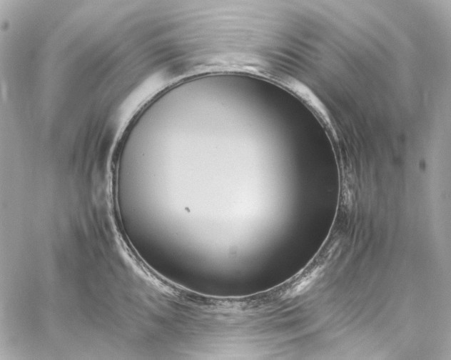 X0000059851096200511181532