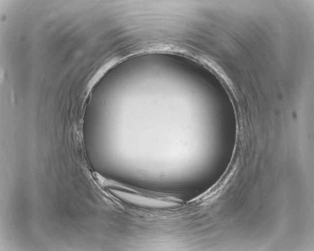 X0000059851097200511181532