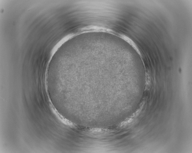 X0000059851098200511181532