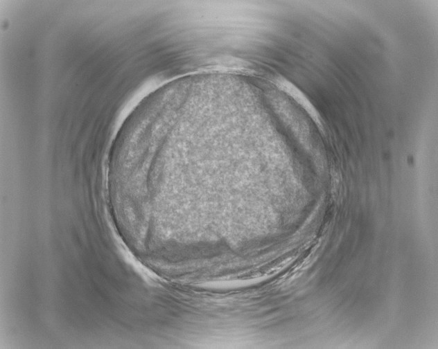 X0000059851099200511181532