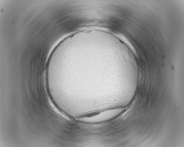 X0000059851100200511181532