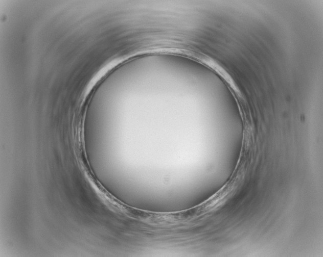 X0000059851101200511181532