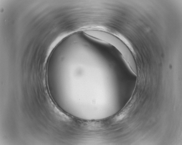 X0000059851102200511181532