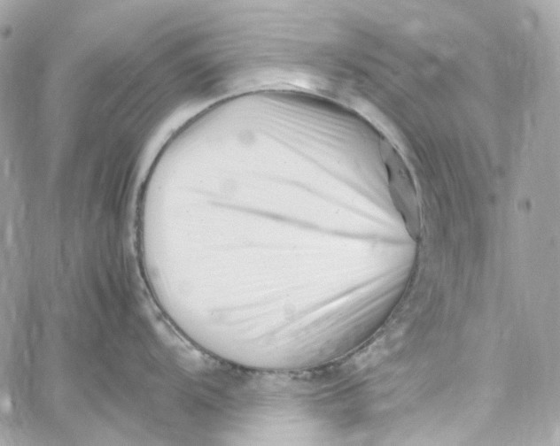 X0000059851104200511181532