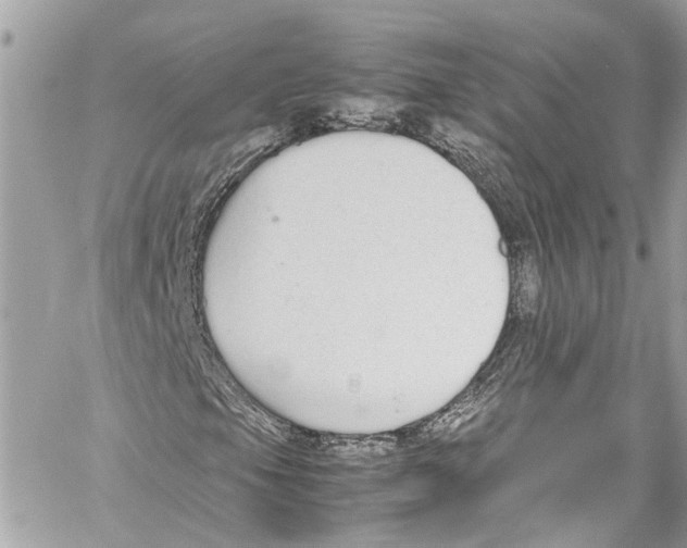 X0000059851105200511181531