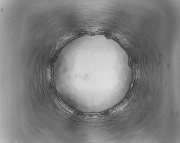 X0000059851106200511181531