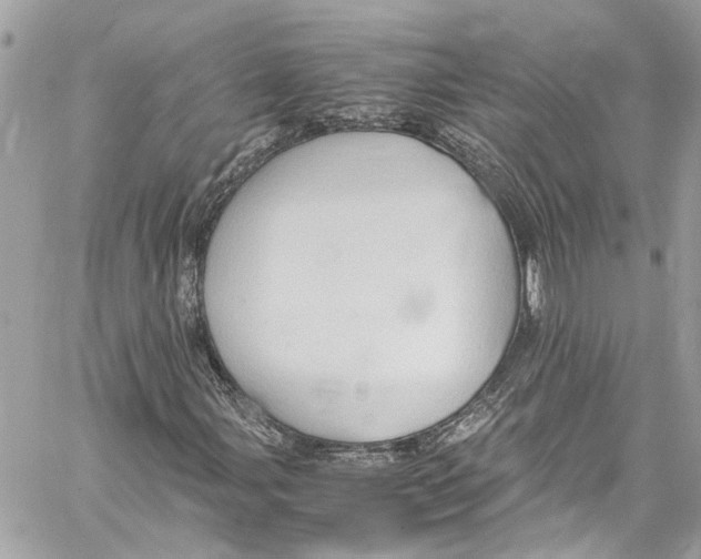 X0000059851107200511181531