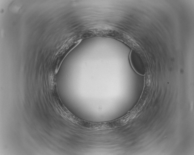 X0000059851108200511181531