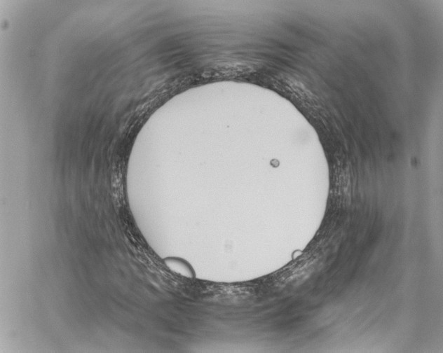 X0000059851109200511181531