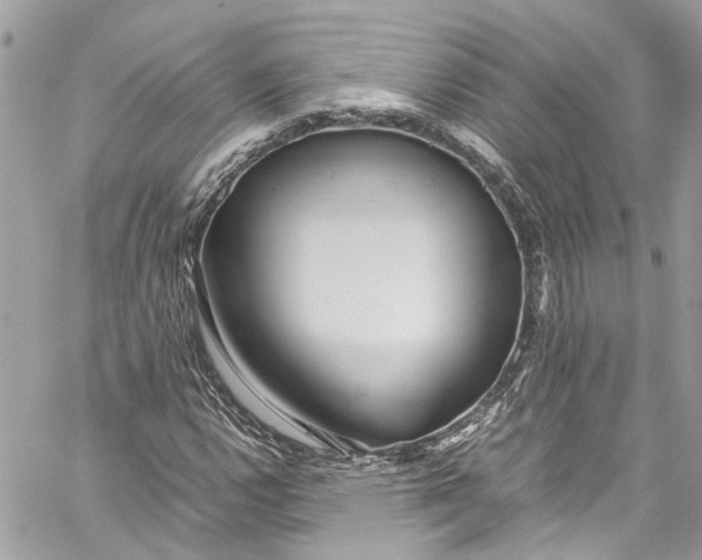 X0000059851112200511181531