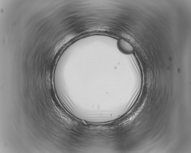 X0000059851113200511181531