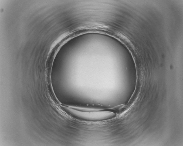 X0000059851114200511181531