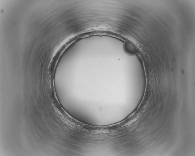 X0000059851118200511181531