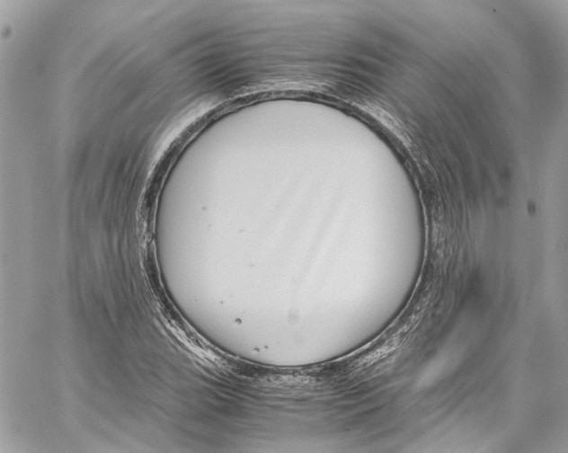 X0000059851119200511181531