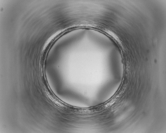 X0000059851120200511181531