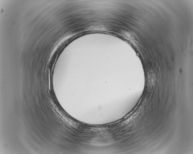 X0000059851123200511181531