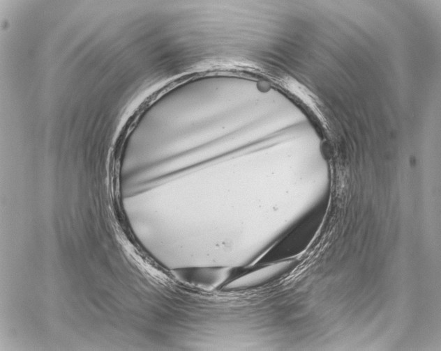 X0000059851124200511181531