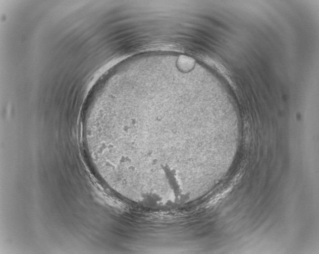 X0000059851125200511181531