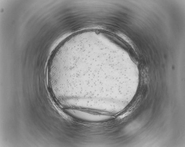 X0000059851127200511181531