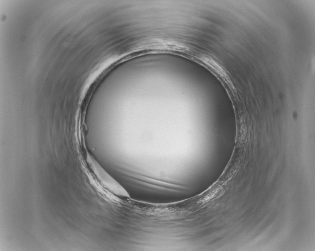 X0000059851128200511181531