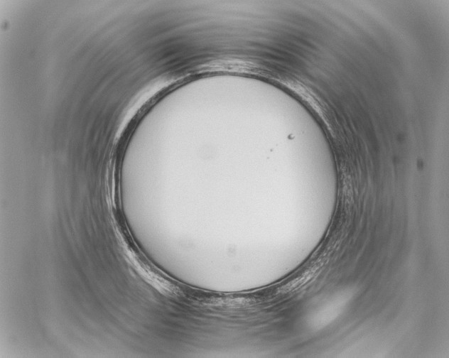 X0000059851131200511181532