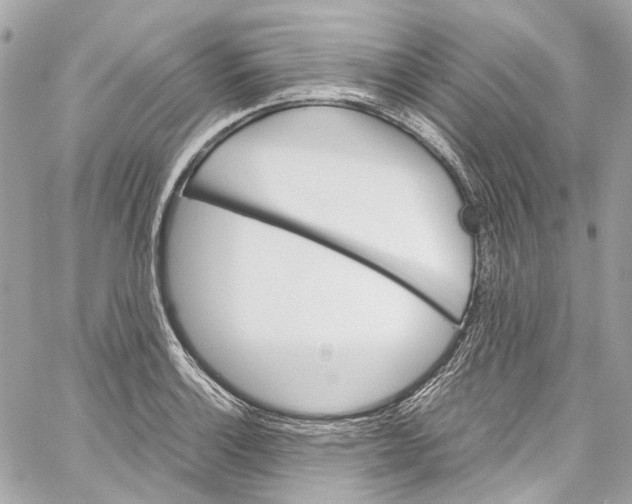 X0000059851132200511181532