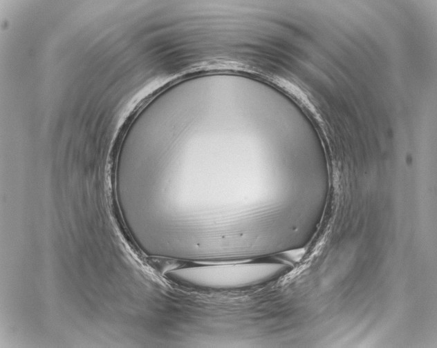 X0000059851133200511181532