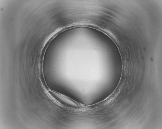 X0000059851134200511181532