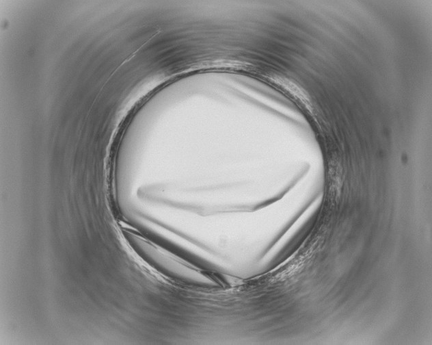 X0000059851135200511181532