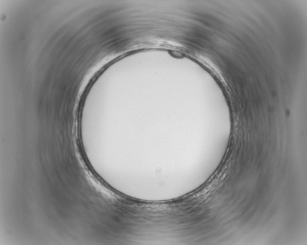 X0000059851136200511181532