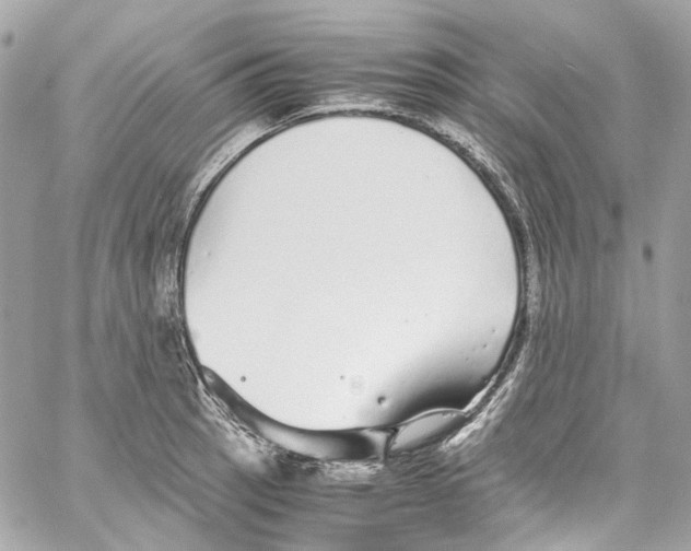 X0000059851137200511181532