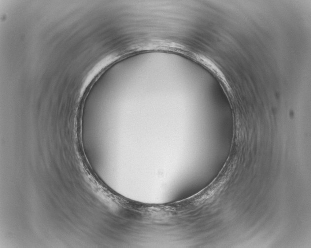 X0000059851138200511181532